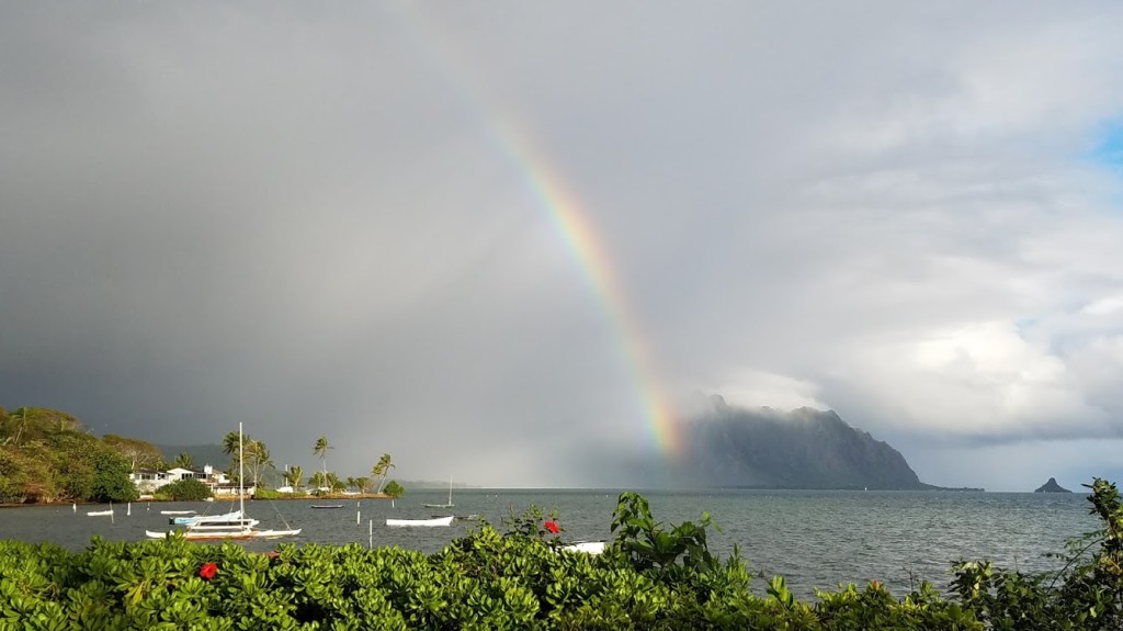 What’s in a&nbsp;Name?