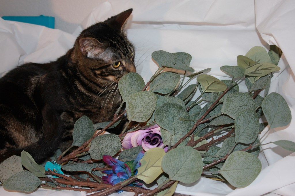 A stand-up comedy&nbsp;life