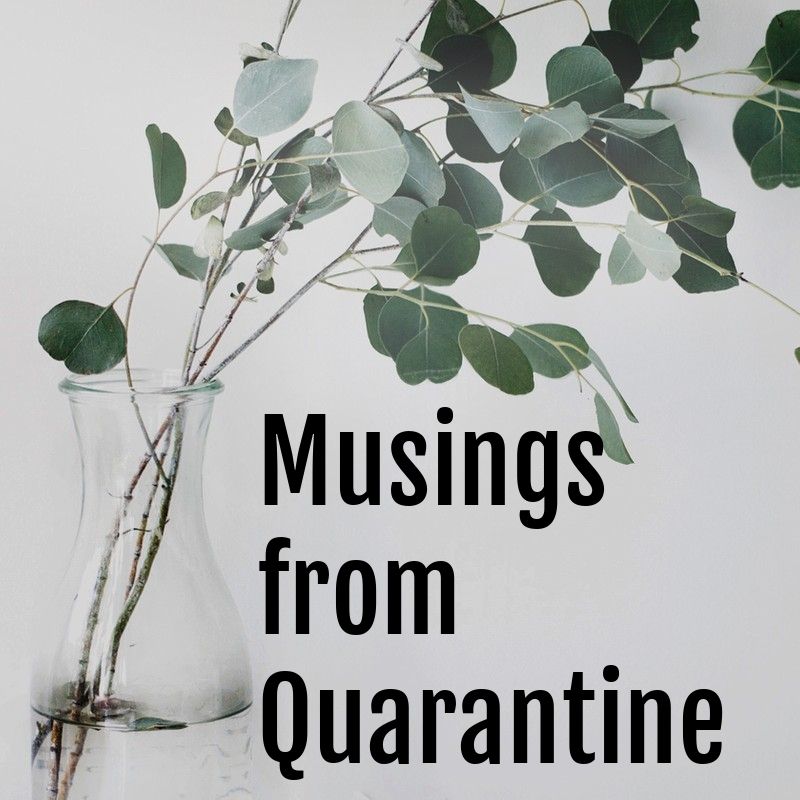 I just wanted some&nbsp;hotdogs